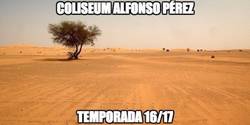 Enlace a Coliseum Alfonso Pérez el año que viene