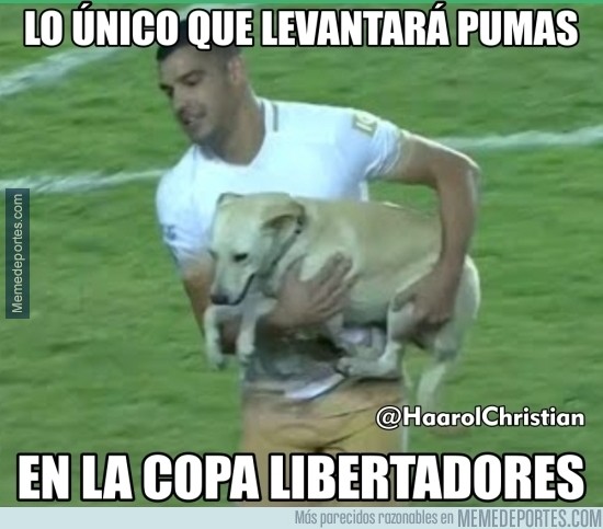 861378 - Lo único que levantará Pumas en la Copa Libertadores