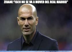 Enlace a Zidane: 