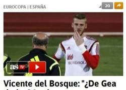Enlace a ¡OJO! Del Bosque ya tiene claro quién será titular en la portería de España