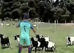 Enlace a GIF: Genial movimiento de Cristiano para calmar a las cabras