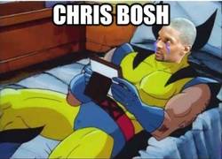 Enlace a Chris Bosh
