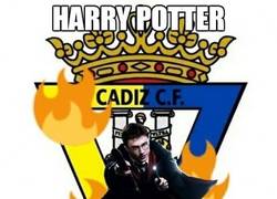 Enlace a Harry Potter y...