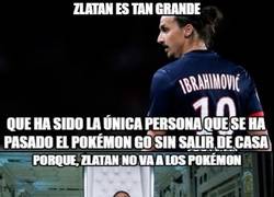 Enlace a Zlatan es tan grande hasta jugando a Pokémon GO