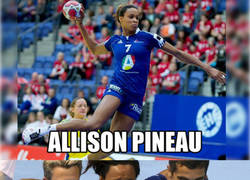 Enlace a ¿Qué versión de Pineau, estrella de la selección francesa, veremos esta tarde contra las Guerrer