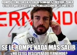 Enlace a Fernando Alonso no encuentra la buena 