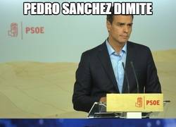 Enlace a El PSOE ya tiene sustituto