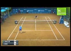 Enlace a Algo haces bien si el rival se para a aplaudir