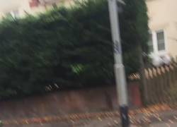 Enlace a Cuando vuelves borracho a casa, te encuentras una pelota y te crees Ronaldinho