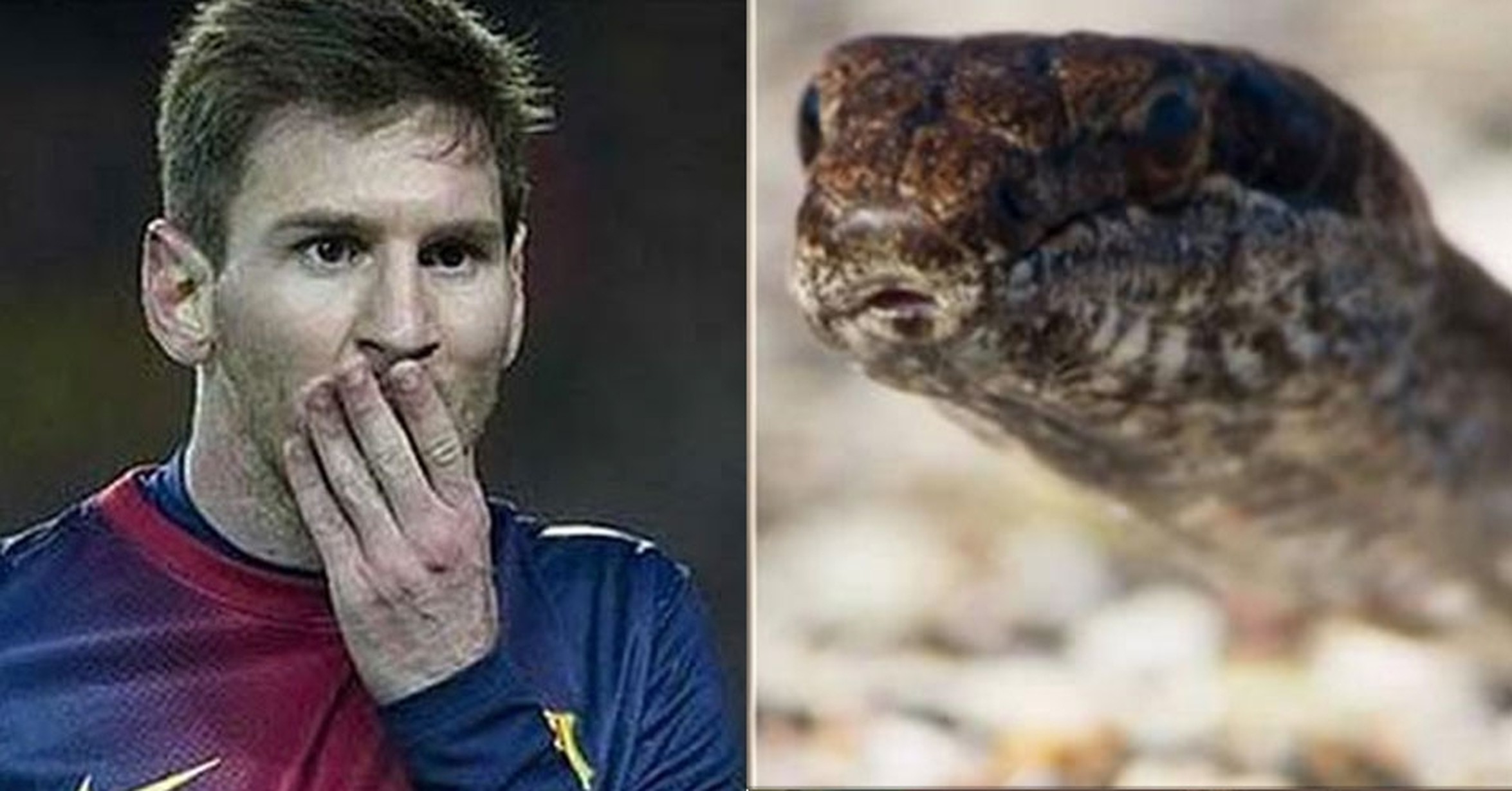 [ MEMEDEPORTES ] La mejor persecución jamás filmada para un documental ...