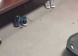 Enlace a ¡El #MannequinChallenge de la Selección Española!