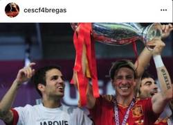 Enlace a Muy desafortunada la foto que ha escogido Cesc para dar ánimos a Fernando Torres