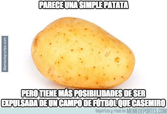 970460 - Parece una simple patata, pero no lo es