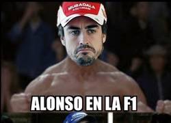 Enlace a Alonso está recordando lo que es ser el mejor de la parrilla