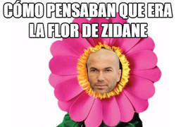 Enlace a Cómo pensaban que era la flor de Zidane y cómo ha sido