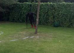 Enlace a Balotelli se atreve con el reto del penalti mareado