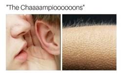 Enlace a Por fin volvió