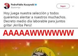 Enlace a ¡Se paraliza Perú! el presidente de gobierno declara medio dia laborable