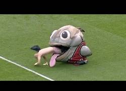 Enlace a La mejor recopilación de las mascotas más locas de la MLB