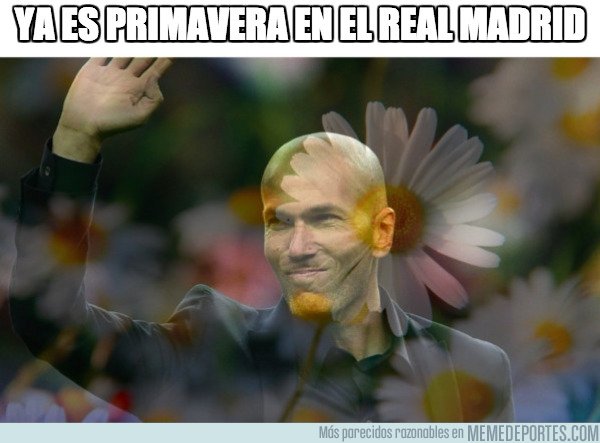 1017141 - Zidane echaba de menos su flor