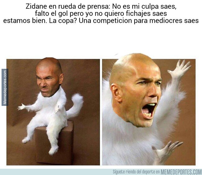 1018025 - Zidane sigue sin enterarse