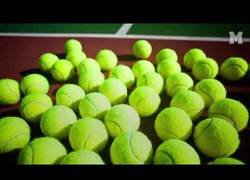 Enlace a ¿Amarillas o verdes? La polémica del color de las pelotas de tenis se ha resuelto tras encuesta mundial