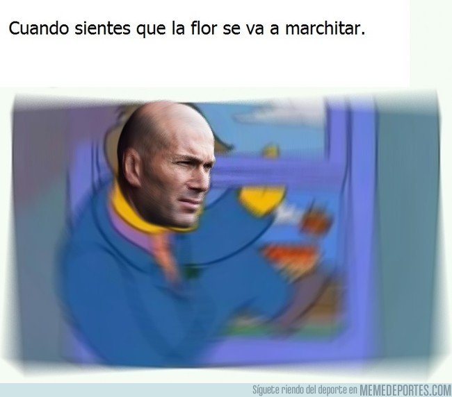 1036114 - La razón de la marcha de Zidane