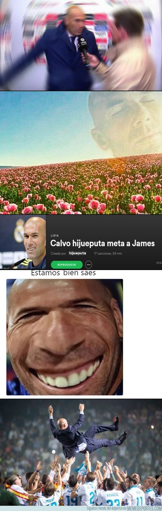 1036138 - Zidane, se te echará de menos por aquí