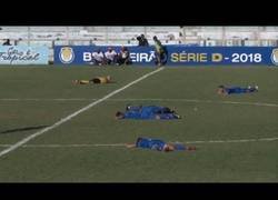 Enlace a Un árbitro para un partido 6 minutos por un ataque de avispas