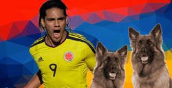 Enlace a El colombiano promedio celebrando, dándolo todo