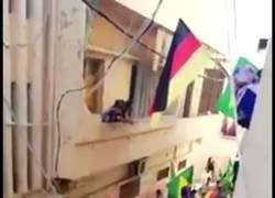 Enlace a Brasileños haciendo un funeral para Alemania tras su eliminación del Mundial