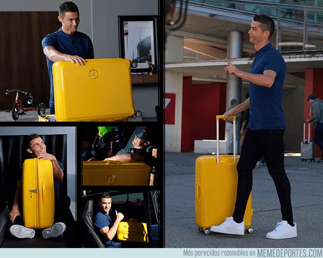 1042391 - El bicho feliz con su maleta de vuelta a casa