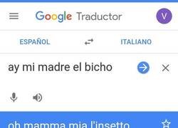 Enlace a Manolo Lama ya está aprendiendo algunas palabras en italiano