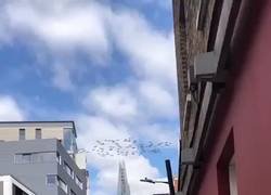 Enlace a Impresionante la locura inglesa con el Mundial