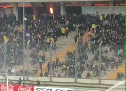 Enlace a En Uruguay estén poniendo a prueba revolucionario método para arreglar el césped en cuestión de segundos