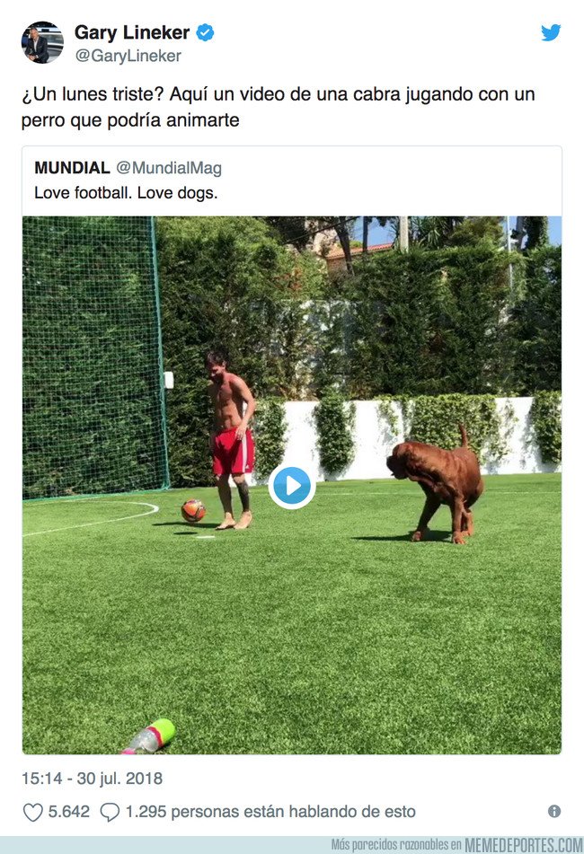1046426 - El ingenioso comentario de Lineker al ver a Messi jugar con su perro