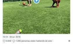 Enlace a El ingenioso comentario de Lineker al ver a Messi jugar con su perro