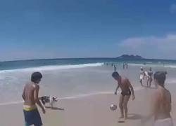 Enlace a Este perro no desentonaría en un rondo del Barça