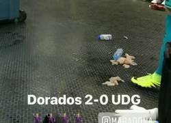 Enlace a El baile de Maradona tras la victoria de su equipo. Sin palabras