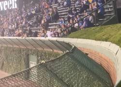 Enlace a Cuando vas a ver baseball y es más interesante ver cómo salta una rata