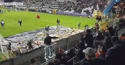 Enlace a Aficionados belgas lanzan peluches al estadio en una tierna campaña solidaria