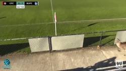 Enlace a Lo normal son perros, gatos, pero en Australia...