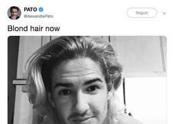 Enlace a Pato sorprende con un peinado WTF y en su twitter todo son risas y burlas