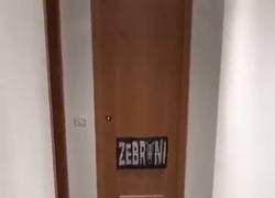 Enlace a Mucho cuidado con el gato de Oblak