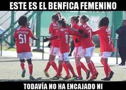 Enlace a Los increíbles datos del Benfica femenino. Quizá van algo sobradas en su liga