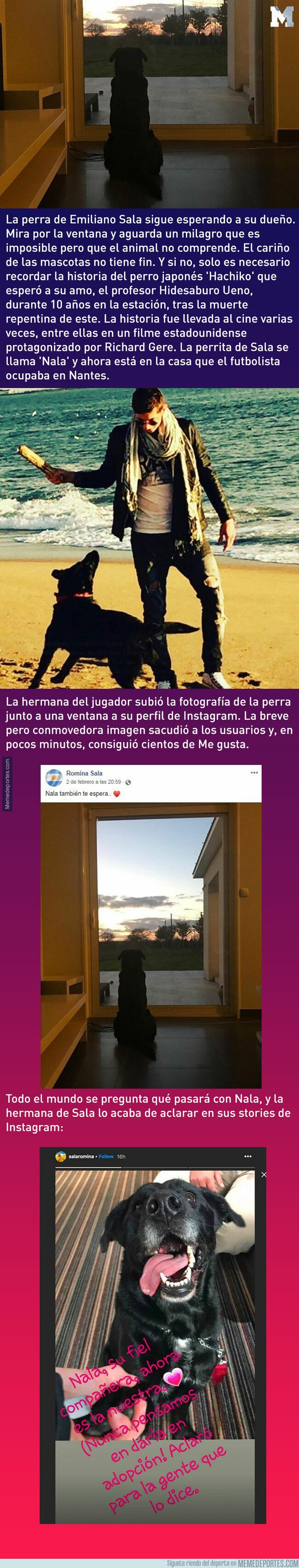 1063715 - La conmovedora historia de la perrita de Emiliano Sala tiene un final feliz