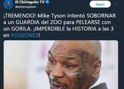 Enlace a ¿Estos deportistas que se retiran qué les pasa en la cabeza?