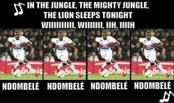 Enlace a The jungle song