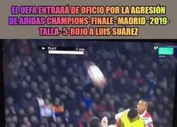 Enlace a Terribles y escalofriantes imágenes, no apto para aprensivos