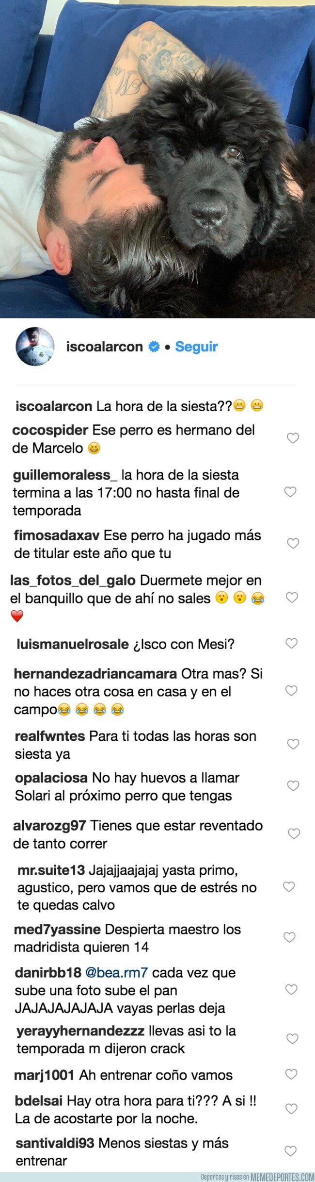 1065071 - Isco sube una foto echando la siesta con su perro Messi y todos los comentarios dicen lo mismo